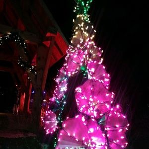 Meet your Posher, Ella